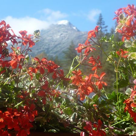 Erika Penzion Vysoke Tatry Luaran gambar