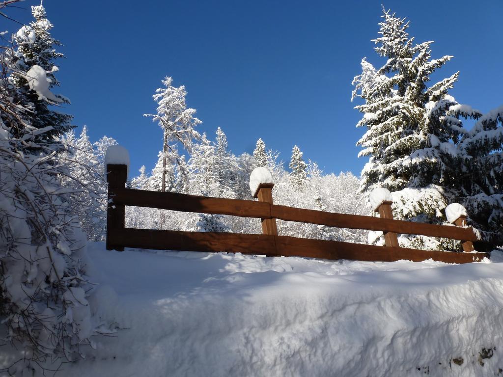 Erika Penzion Vysoke Tatry Luaran gambar